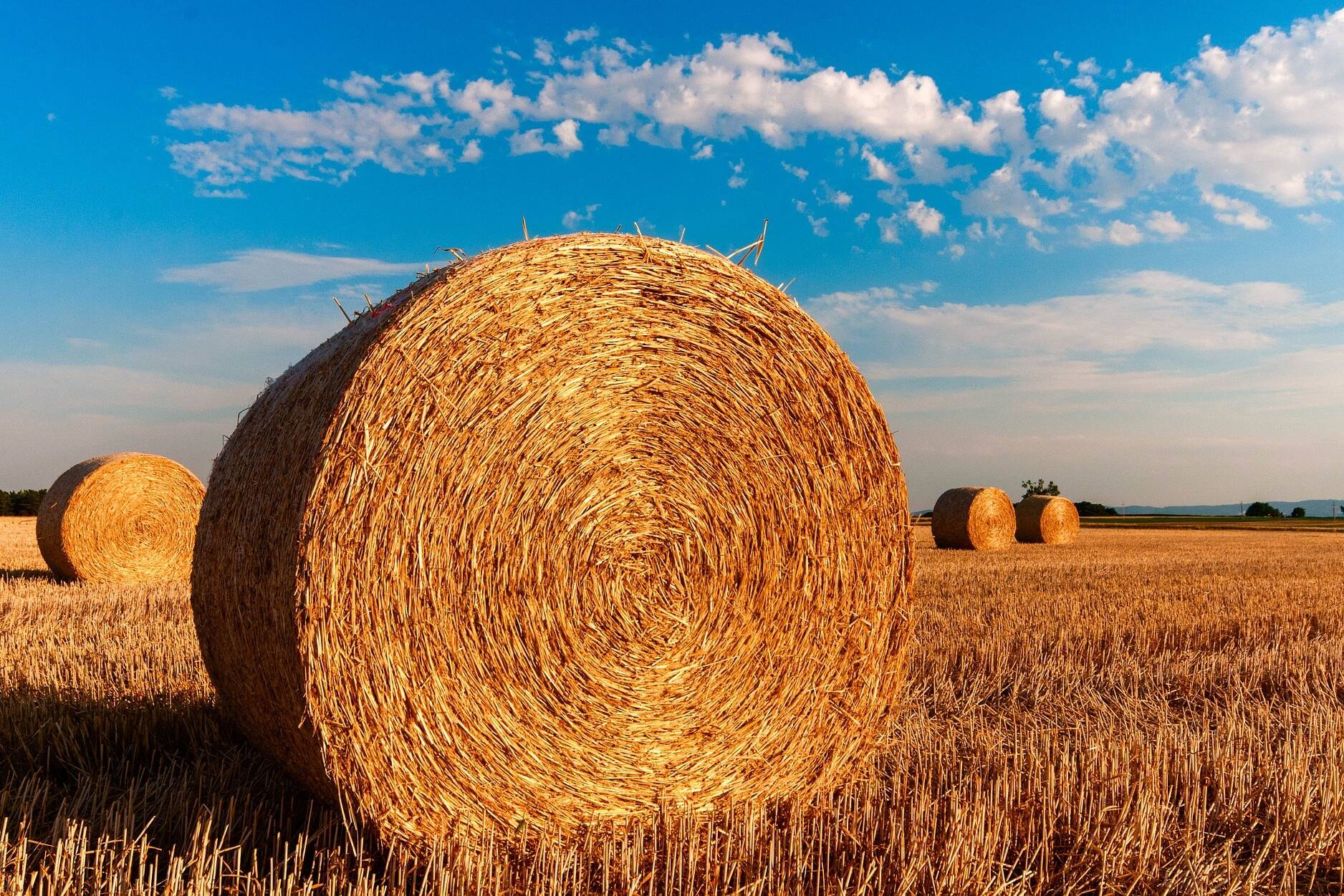 hay bales 726976 1920